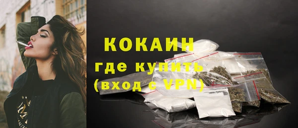 ешки Горняк