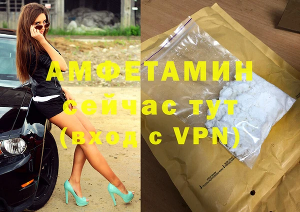 ГАЛЛЮЦИНОГЕННЫЕ ГРИБЫ Гусь-Хрустальный