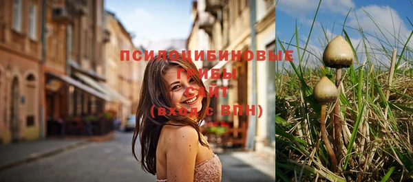 ГАЛЛЮЦИНОГЕННЫЕ ГРИБЫ Гусь-Хрустальный